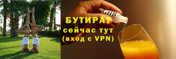 индика Козельск