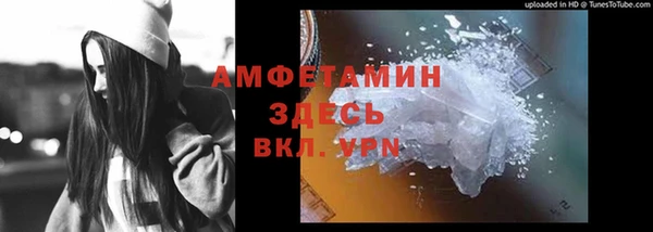индика Козельск