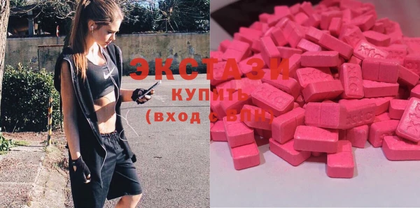 индика Козельск