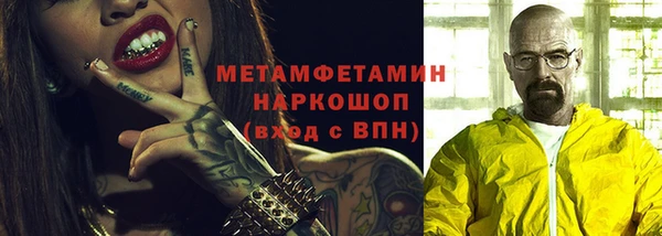 индика Козельск