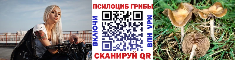 дарнет шоп  Ковдор  Псилоцибиновые грибы MAGIC MUSHROOMS 